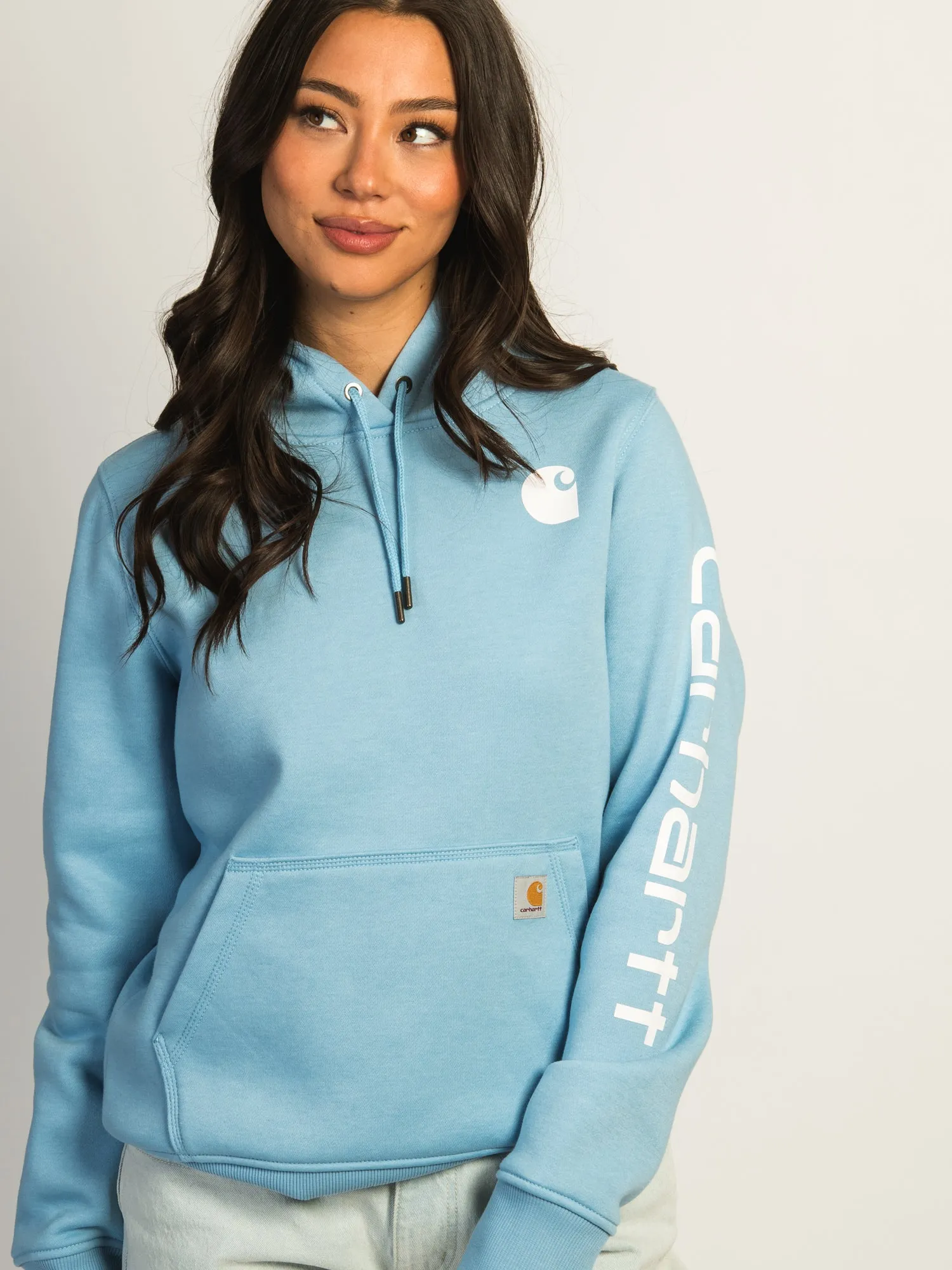 CARHARTT LOGO SLEEVE PULL OVER HOODIE - WATER