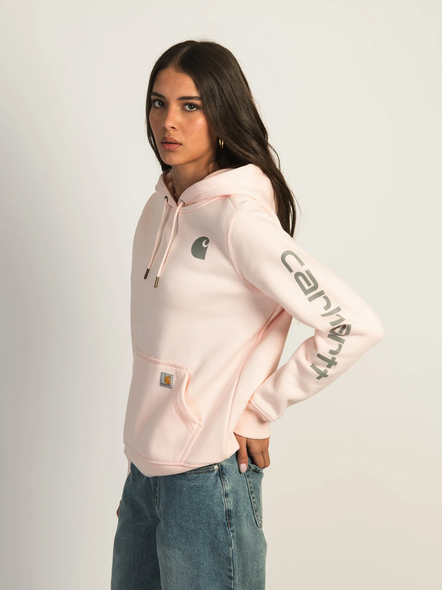 CARHARTT LOGO SLEEVE PULLOVER HOODIE