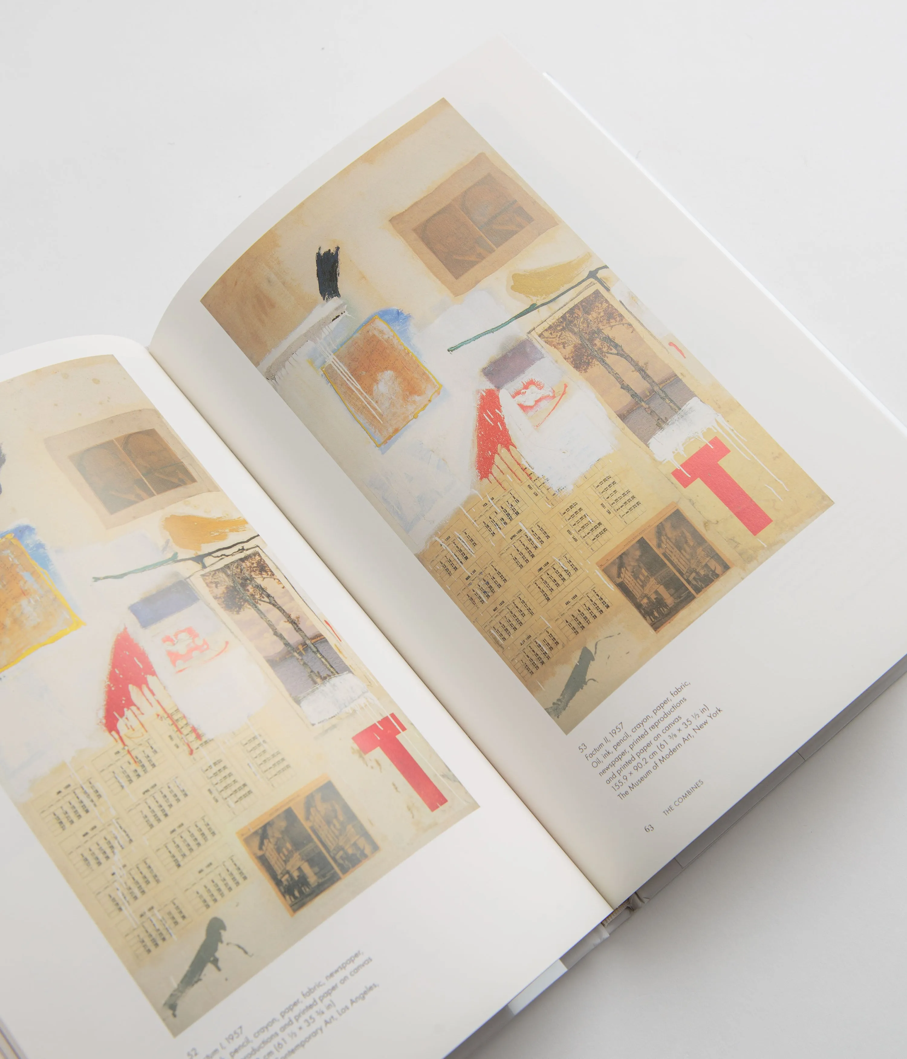 Robert Rauschenberg - Catherine Craft
